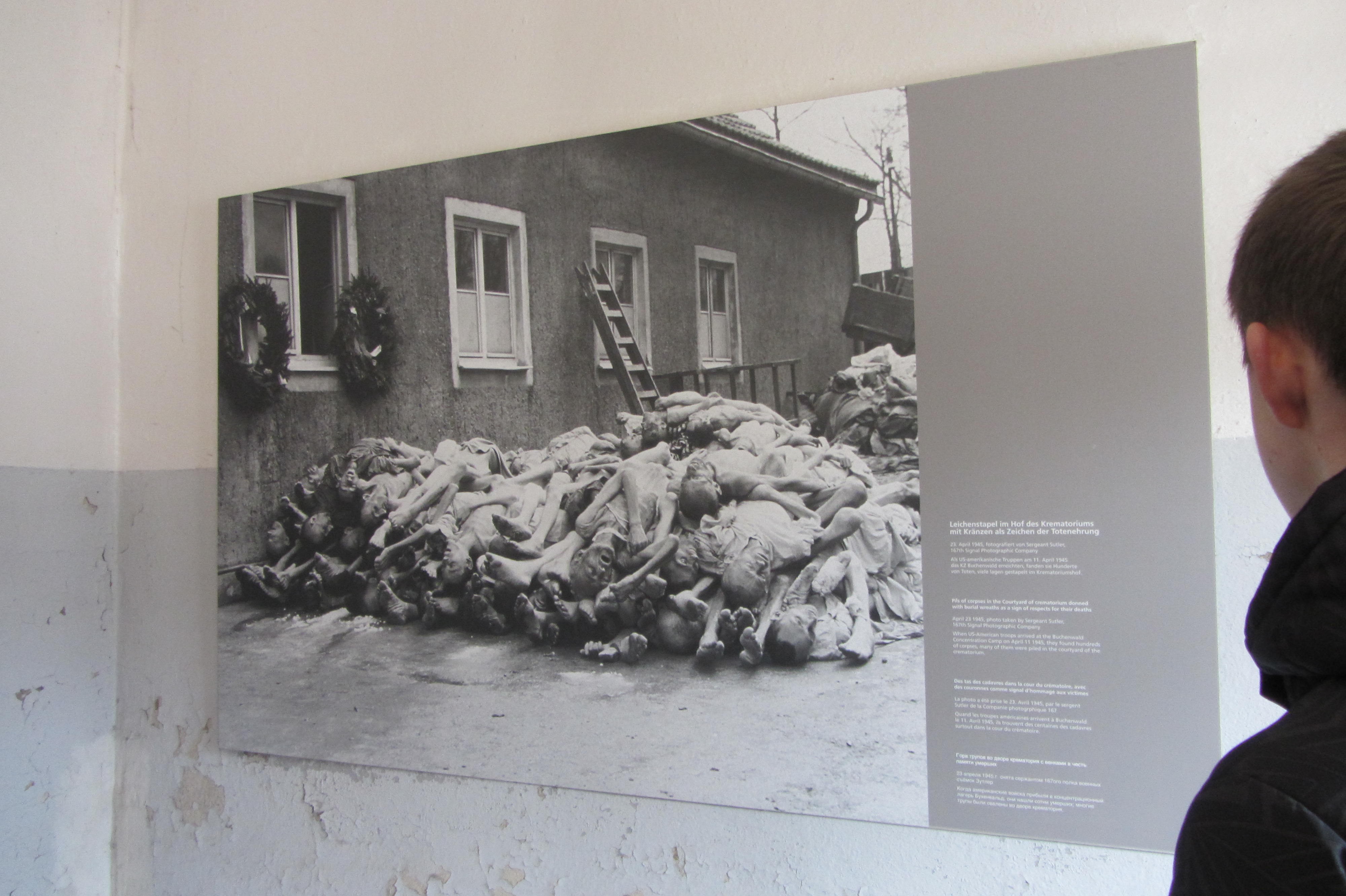 Buchenwald2017